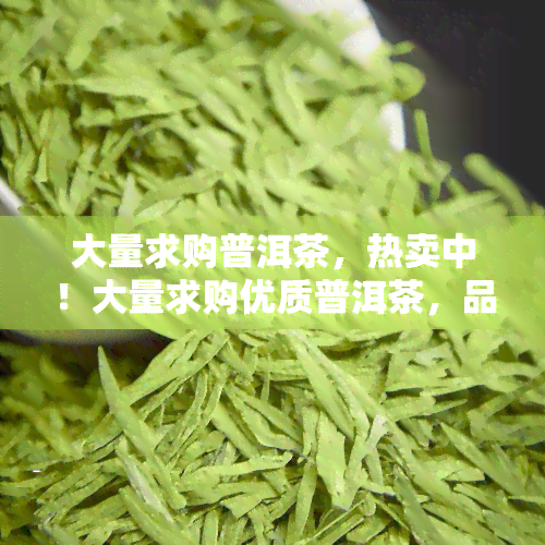 大量求购普洱茶，热卖中！大量求购优质普洱茶，品质保证，速来选购！