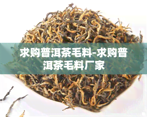 求购普洱茶毛料-求购普洱茶毛料厂家