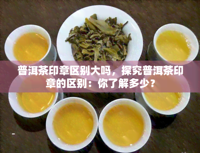 普洱茶印章区别大吗，探究普洱茶印章的区别：你了解多少？