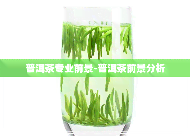 普洱茶专业前景-普洱茶前景分析