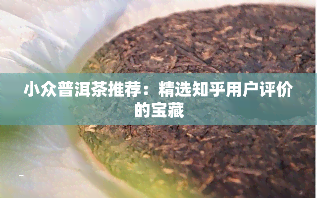 小众普洱茶推荐：精选知乎用户评价的宝藏