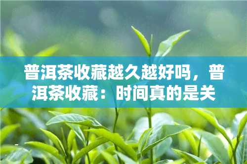 普洱茶收藏越久越好吗，普洱茶收藏：时间真的是关键吗？