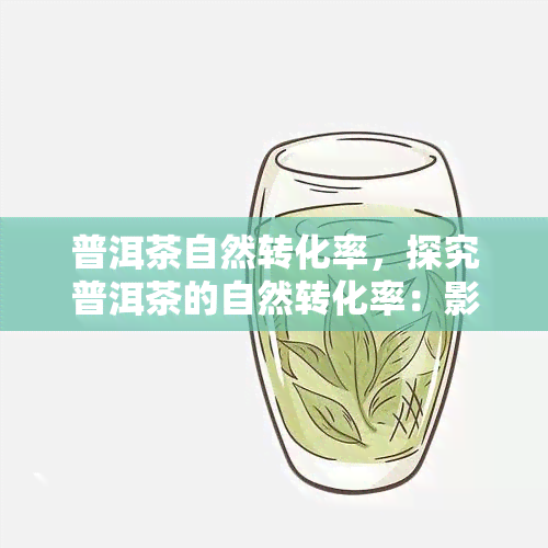 普洱茶自然转化率，探究普洱茶的自然转化率：影响因素与优化策略