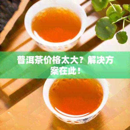 普洱茶价格太大？解决方案在此！