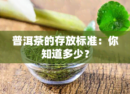 普洱茶的存放标准：你知道多少？