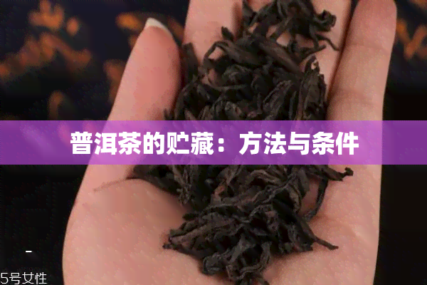 普洱茶的贮藏：方法与条件