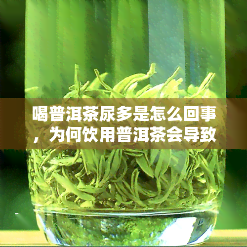 喝普洱茶尿多是怎么回事，为何饮用普洱茶会导致尿频？