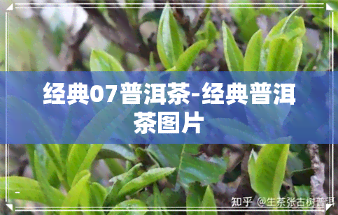 经典07普洱茶-经典普洱茶图片