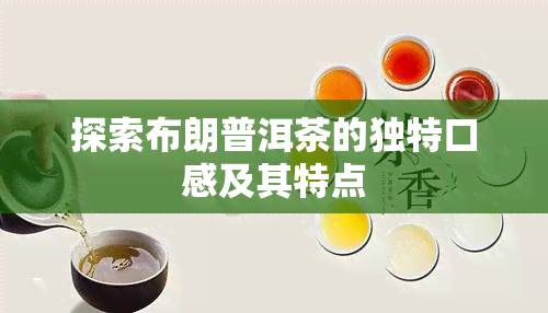 探索布朗普洱茶的独特口感及其特点