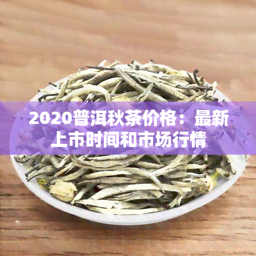 2020普洱秋茶价格：最新上市时间和市场行情