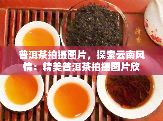 普洱茶拍摄图片，探索云南风情：精美普洱茶拍摄图片欣