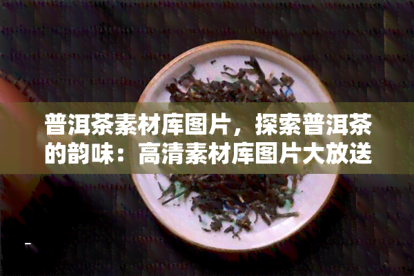 普洱茶素材库图片，探索普洱茶的韵味：高清素材库图片大放送！