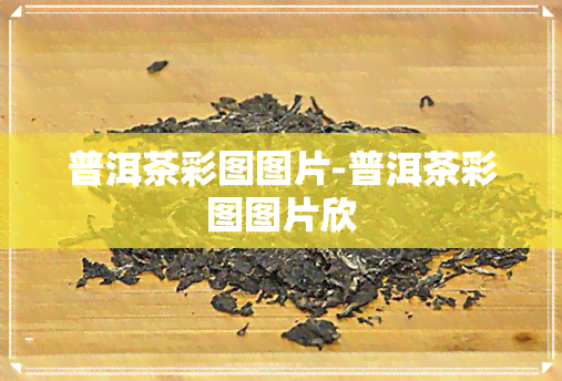 普洱茶彩图图片-普洱茶彩图图片欣