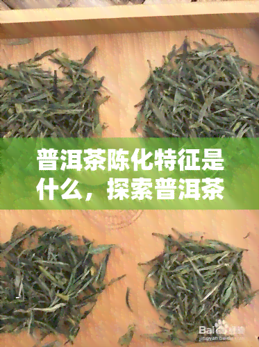 普洱茶陈化特征是什么，探索普洱茶的陈化特征