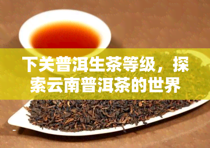 下关普洱生茶等级，探索云南普洱茶的世界：下关普洱生茶的等级划分与特点