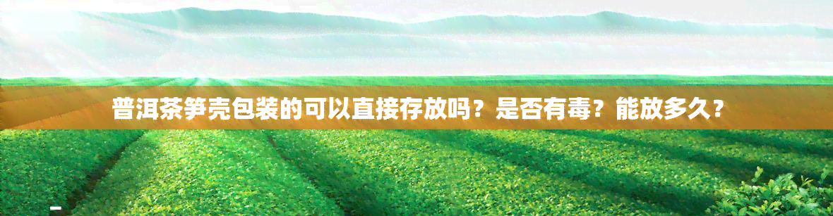 普洱茶笋壳包装的可以直接存放吗？是否有？能放多久？