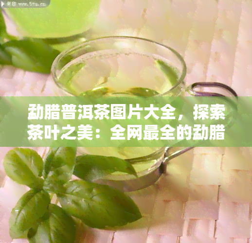 勐腊普洱茶图片大全，探索茶叶之美：全网最全的勐腊普洱茶图片大全