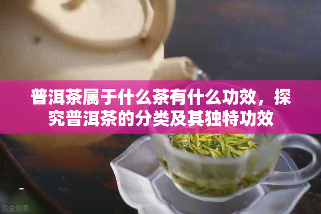 普洱茶属于什么茶有什么功效，探究普洱茶的分类及其独特功效