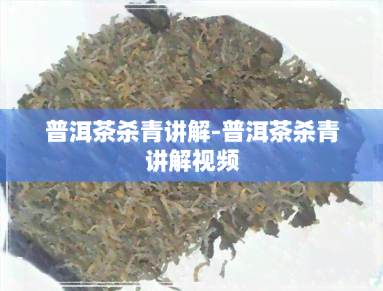 普洱茶杀青讲解-普洱茶杀青讲解视频