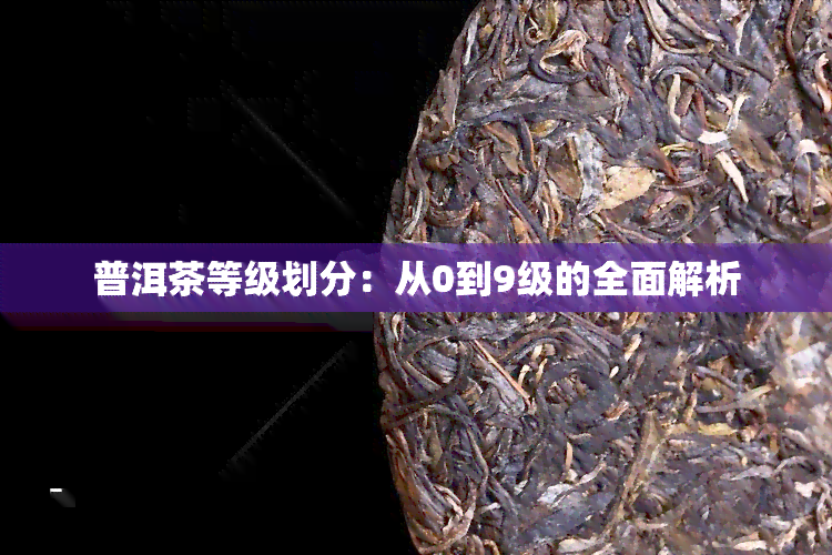 普洱茶等级划分：从0到9级的全面解析