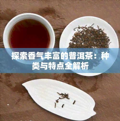 探索香气丰富的普洱茶：种类与特点全解析