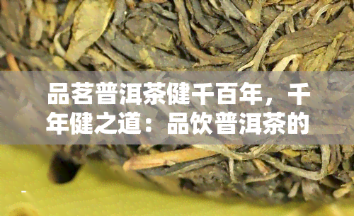 品茗普洱茶健千百年，千年健之道：品饮普洱茶的益处与乐趣