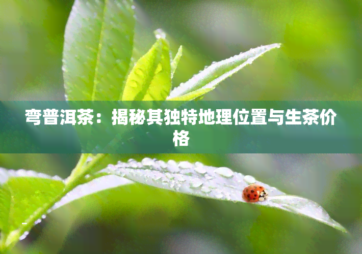 弯普洱茶：揭秘其独特地理位置与生茶价格