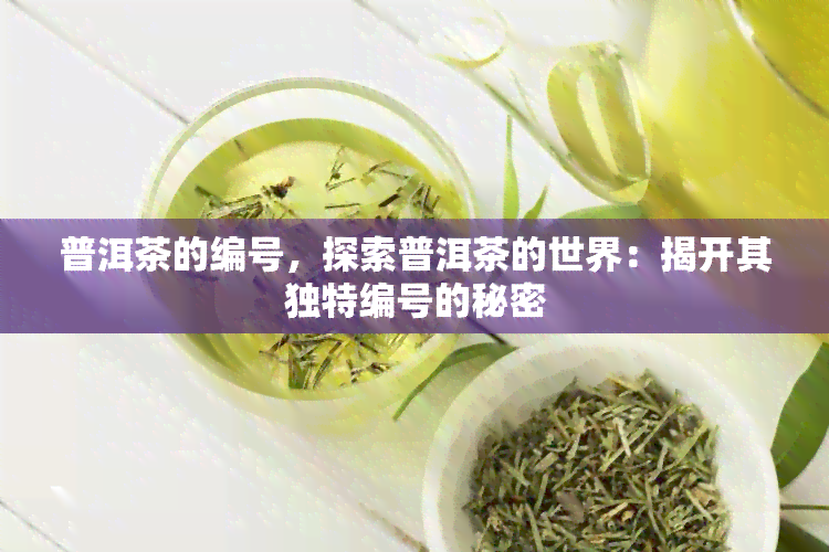 普洱茶的编号，探索普洱茶的世界：揭开其独特编号的秘密