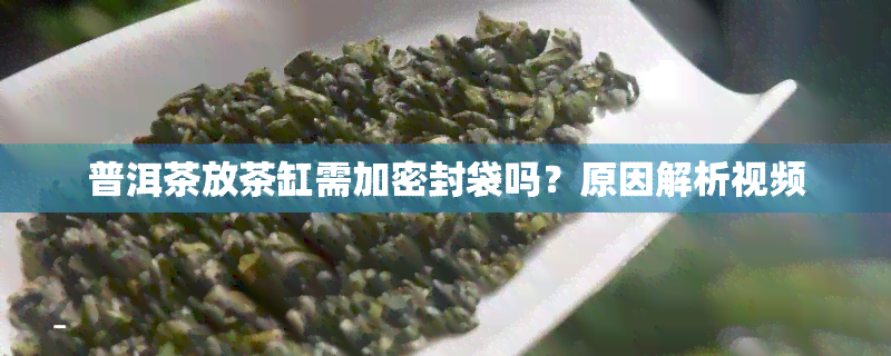 普洱茶放茶缸需加密封袋吗？原因解析视频