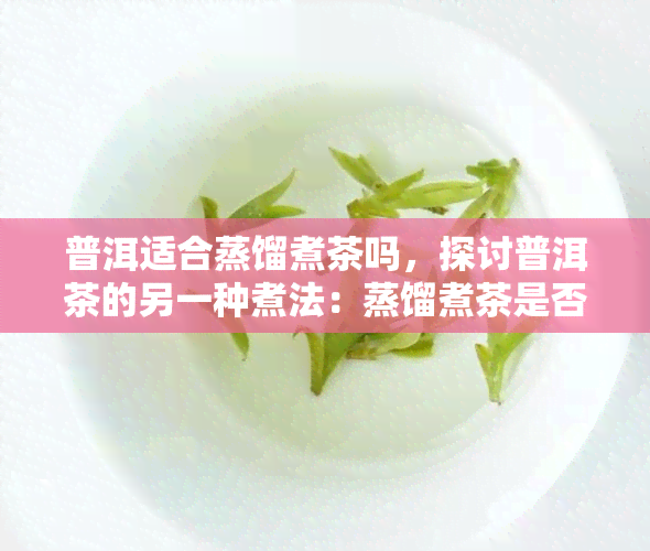 普洱适合蒸馏煮茶吗，探讨普洱茶的另一种煮法：蒸馏煮茶是否合适？