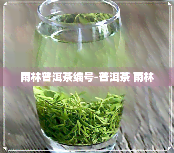 雨林普洱茶编号-普洱茶 雨林