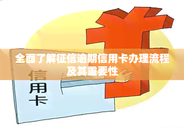 全面了解逾期信用卡办理流程及其重要性