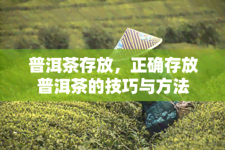 普洱茶存放，正确存放普洱茶的技巧与方法