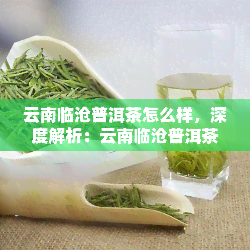 云南临沧普洱茶怎么样，深度解析：云南临沧普洱茶的口感与品质特点