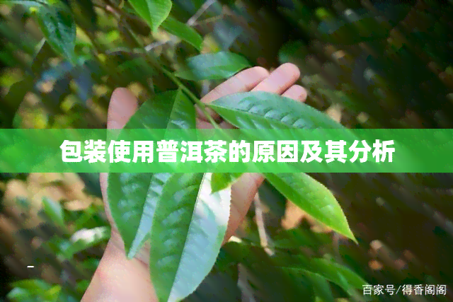 包装使用普洱茶的原因及其分析