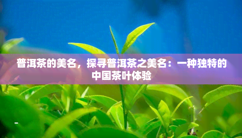 普洱茶的美名，探寻普洱茶之美名：一种独特的中国茶叶体验