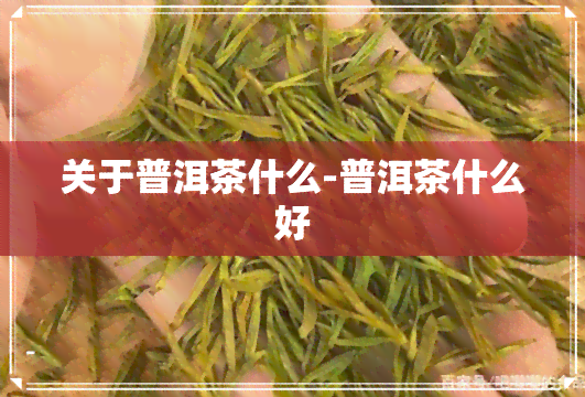 关于普洱茶什么-普洱茶什么好