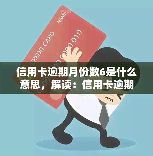 信用卡逾期月份数6是什么意思，解读：信用卡逾期月份数6的含义与影响