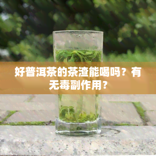 好普洱茶的茶渣能喝吗？有无副作用？