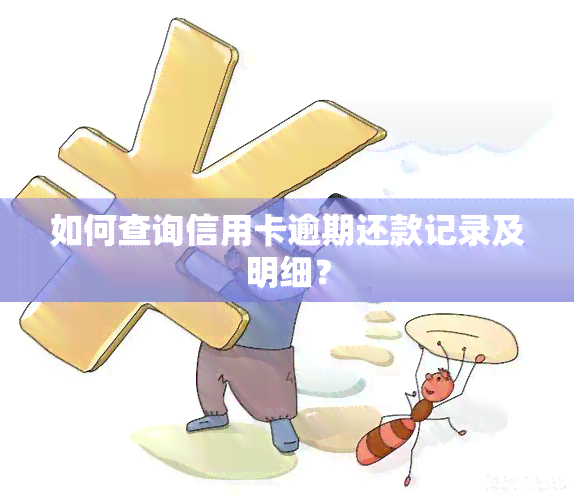 如何查询信用卡逾期还款记录及明细？