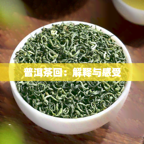 普洱茶回：解释与感受