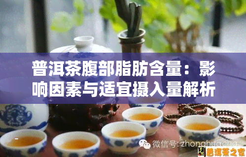 普洱茶腹部脂肪含量：影响因素与适宜摄入量解析