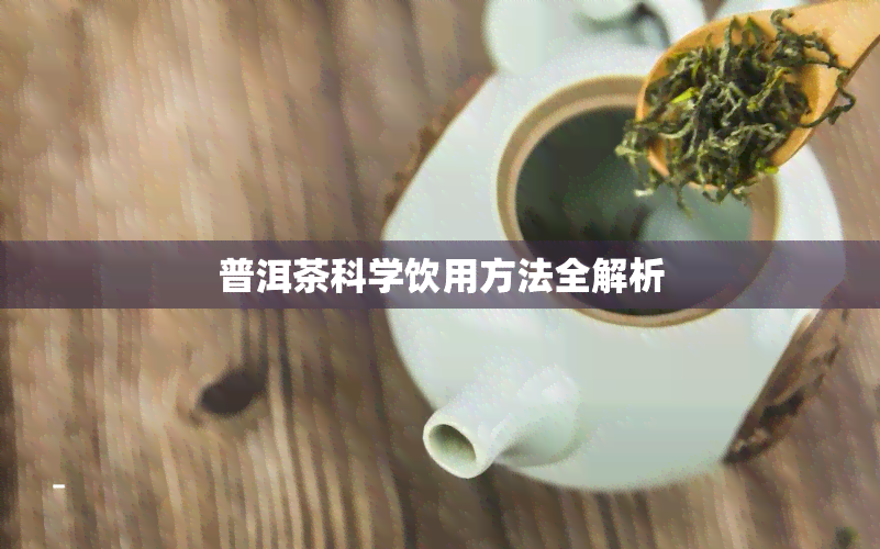 普洱茶科学饮用方法全解析