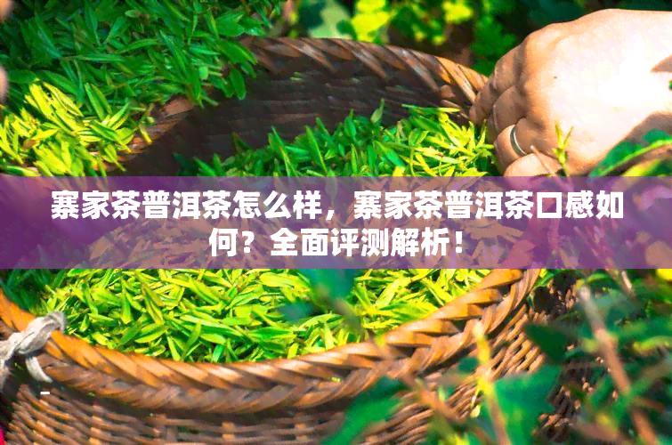 寨家茶普洱茶怎么样，寨家茶普洱茶口感如何？全面评测解析！