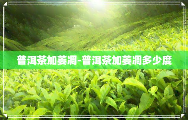 普洱茶加萎凋-普洱茶加萎凋多少度