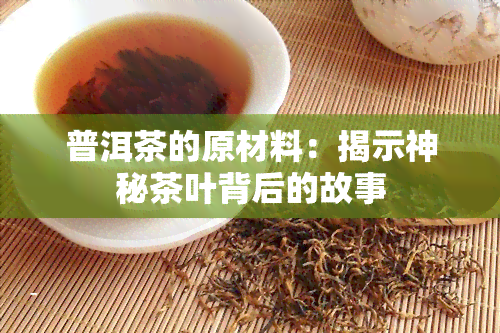 普洱茶的原材料：揭示神秘茶叶背后的故事