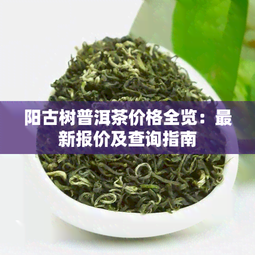 阳古树普洱茶价格全览：最新报价及查询指南