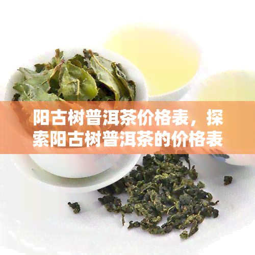 阳古树普洱茶价格表，探索阳古树普洱茶的价格表，品味古老韵味与独特风味！