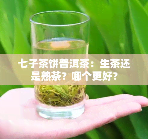 七子茶饼普洱茶：生茶还是熟茶？哪个更好？