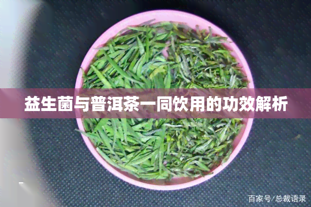 益生菌与普洱茶一同饮用的功效解析